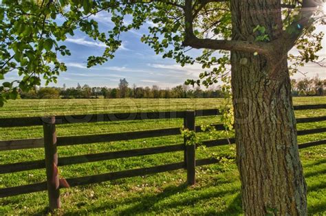 Country Scenery Green Pastures Of Stock Image Colourbox
