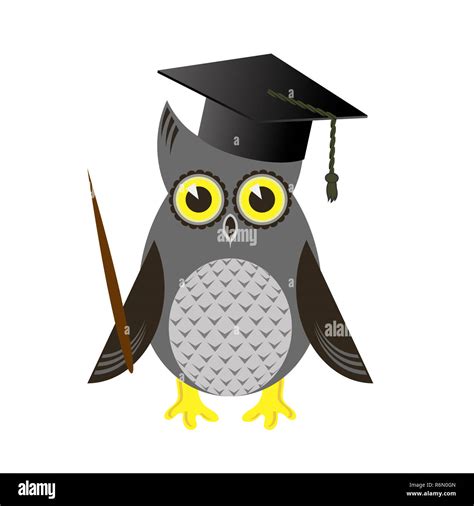 Cartoon Illustration Owl Graduation Cap Hi Res Stock Photography And