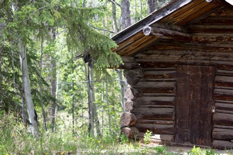 We did not find results for: Trappers Cabin - District of Hudson's Hope - Playground of ...