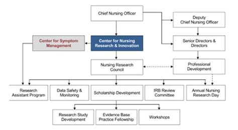 Nursing Chain Of Command Chart