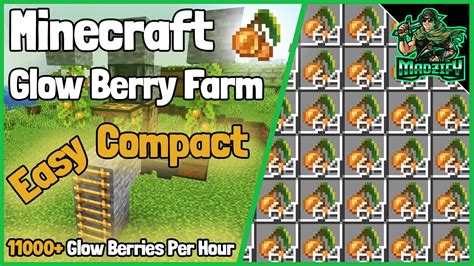 EASY & COMPACT Glow Berry Farm Tutorial! Minecraft 1.17 (11000+ Glow