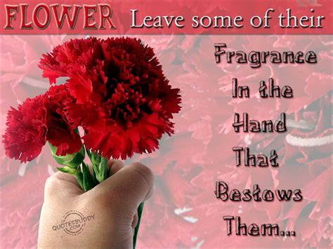 Pictures of flowers with love quotes. Flower Bouquet With Quotes. QuotesGram
