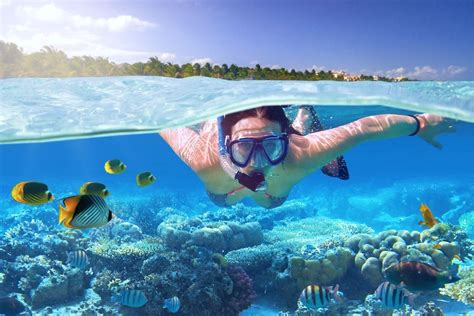 23 Best Snorkeling Spots On The Big Island Hawaii With Map Tourscanner