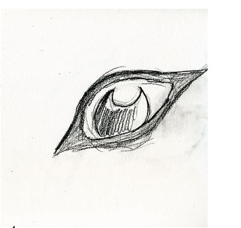 Wolf Eye Sketch V1 By Chesterfield18 On Deviantart