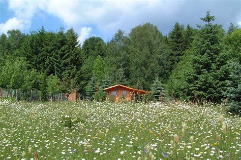 Maybe you would like to learn more about one of these? Ferienhaus Hornschuch / Goldlauter-Heidersbach / Suhl ...