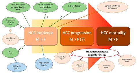 Jcm Free Full Text Renaming Nafld To Mafld Could The Lde System