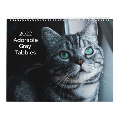 Adorable Gray Tabbies 2022 Calendar Zazzle