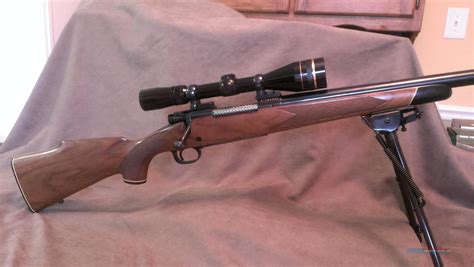 Winchester Model 70 Varmint 243 He For Sale At