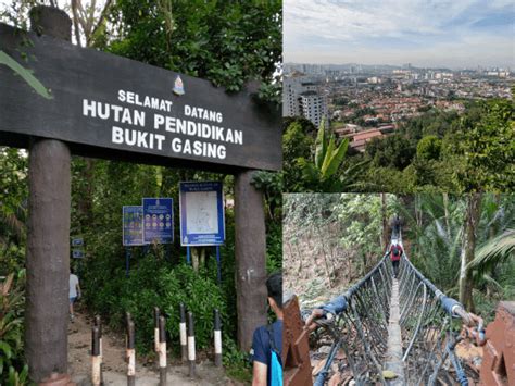 The trail is quite easy to follow although there's about a dozen path you can choose from. Bukit Gasing Hike (A loop to reach all highlights ...
