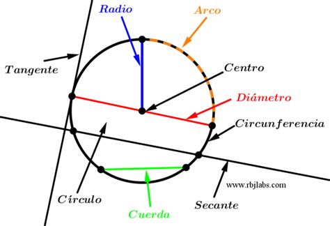 Partes De La Circunferencia Explicación Detallada