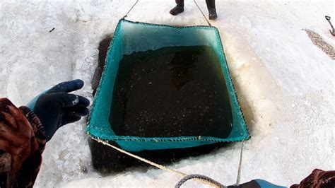 Рыбалка на паук подъемник зимой на реке Амур Поймали мешок рыбы Amur