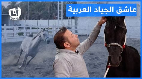 علاقة عشق بين عراقي والخيول العربية التلفزيون العربي