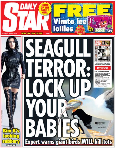 Seagull DAILY STAR FRONT PAGE Seagull Terror Lock Up Your Babies