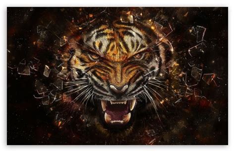 48 Bing Tiger Wallpaper Wallpapersafari