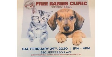 Even if your peti strictly an indoor pet, it must be vaccinated against rabies! Free Rabies Clinic - For Dogs and Cats - Union NJ ...