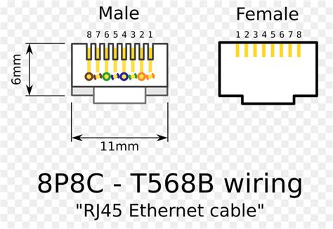 Free shipping and free returns on eligible items. Cat5 Male Wiring Diagram