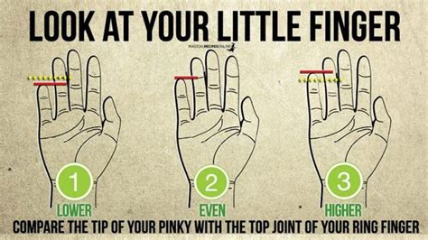What Does Your Pinky Finger Say About You Palm Reading Charts Emotion Psychology Palm