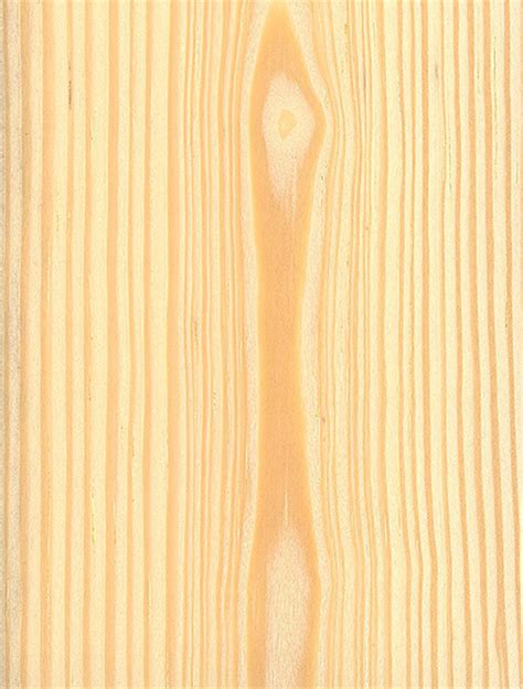 Sumatran Pine The Wood Database Lumber Identification Softwood