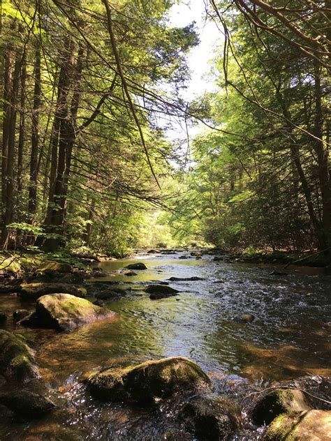 Stoney Creek Pennsylvania 1200x1600 Oc Landscape Nature