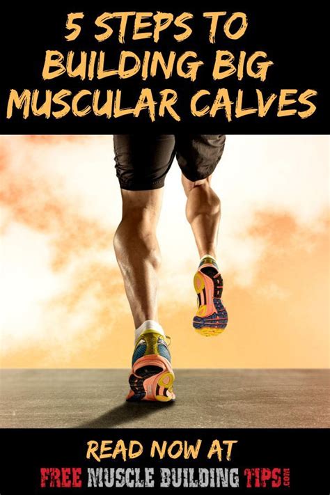 How To Build Big Calf Muscles Calf Exercises Calf Muscles Calf