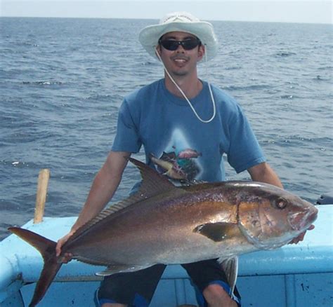 How To Catch Amberjack Tips For Fishing For Amberjack