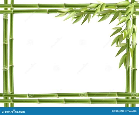 Bamboo Frame Vector Background Stock Vector Illustration Of Frame