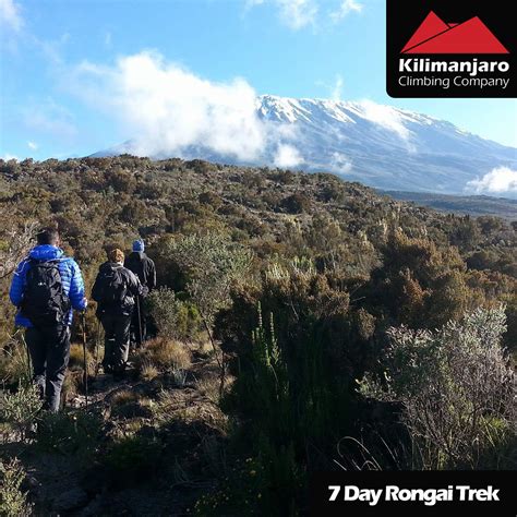 The 4100 km route running through kenya and tanzania is truthfully considered to be one of the toughest terrains in the world and combines the charm of africa with a class of passenger cars built before 1978. 7 DAY TREK - RONGAI ROUTE - RAINY SEASON - Kilimanajro ...