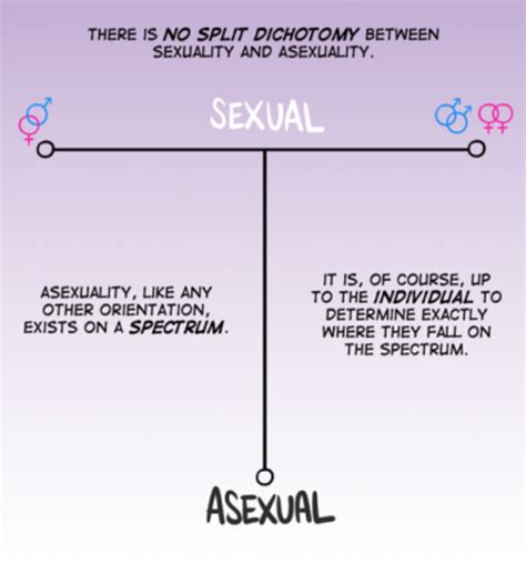 The Asexual Spectrum What Is It