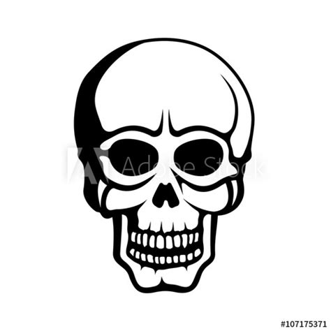 Human Skull Line Drawing Free Download On Clipartmag