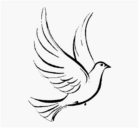 Dove Clipart Christianity Symbol The Quotes