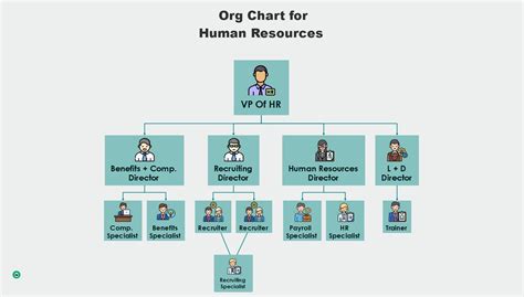 Your Guide To The Hr Organizational Chart And Departm Vrogue Co