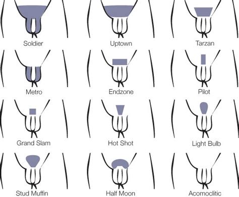 We talked to a lot of doctors, dermatologists, hair specialist, urologists, and the hairs of the pubic region have been biologically programmed to grow only to a certain length. when you shave that pubic area, even a minor cut or laceration can cause bacteria to get inside. July 2014 Newsletter | Acomoclitic Hair Removal Studio ...