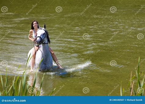 Equestrian On Horseback Riding Through Water Stock Image Image Of