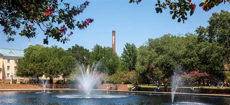 uofsc climbs in nursing education rankings uofsc news and events university of south carolina