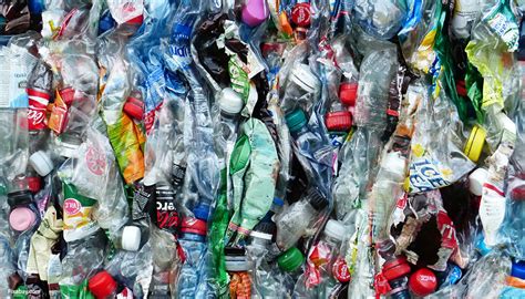 There are many good reasons for adding recycling to your routine, ranging from a personal level to a global advantage. How to Recycle and Why You Should Do It | The Student ...