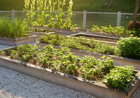 date Rouge remarque Couper faire un petit potager dans son jardin rusé Capitale Controverse