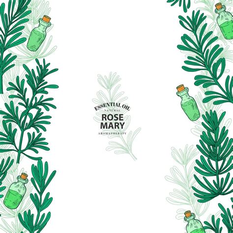 Hand Drawn Colorful Rosemary Borders On White 954011 Vector Art At Vecteezy
