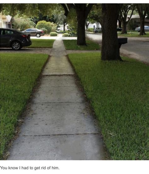 You Know I Had To Do It To Em Know Your Meme