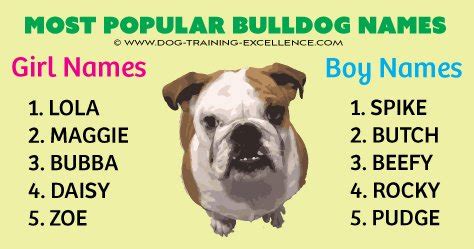 Female french bulldog names with meanings. 600 Unforgetabble Bulldog Names to Begin a Beautiful ...