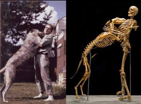 Creepy Or Cool Scientist Wills His Body And His Dog To Museum The