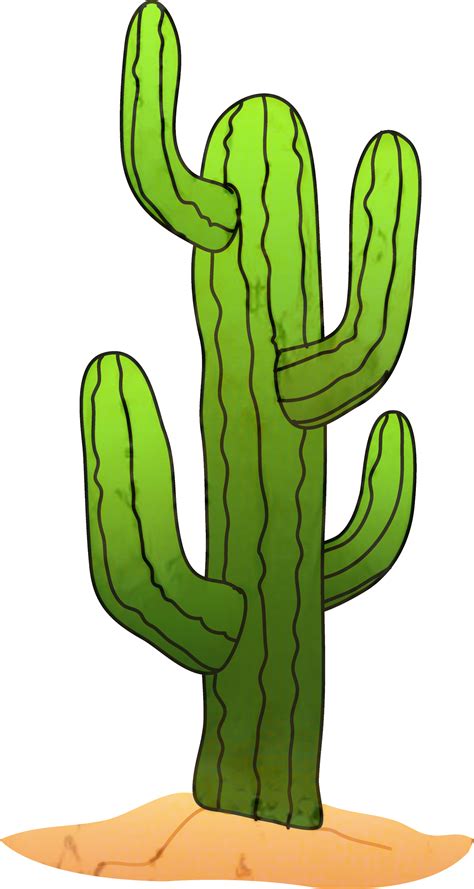 Cactus Clipart Free Transparent Background And Other Clipart Images On