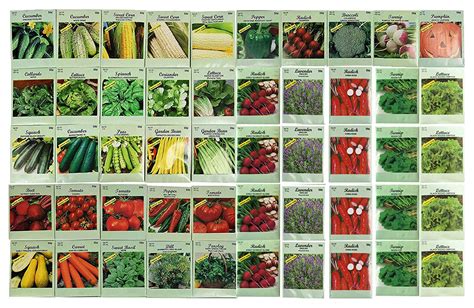 50 Packs Assorted Heirloom Vegetable Seeds 30 Varieties All Seeds Are