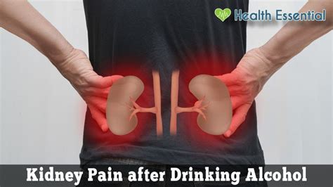 Alcohol Kidney Pain Left Side Kidney Failure Disease