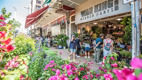 花墟道（Flower Market） | Hong Kong Tourism Board