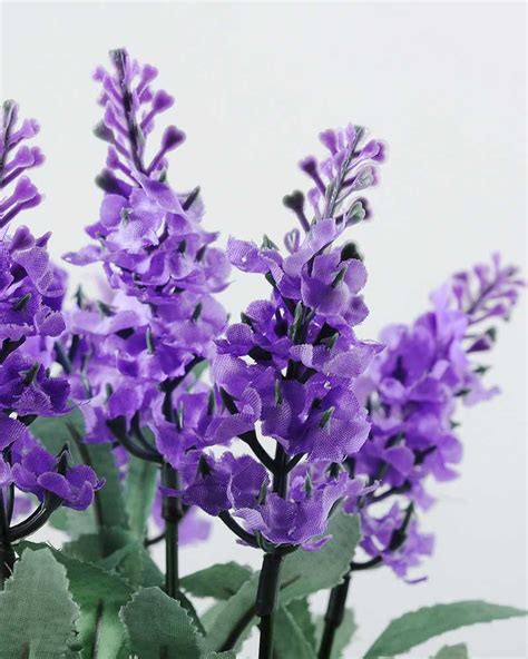 20cm Pterostoechas Lavender Silk Flower In Metal Watering Can Silk