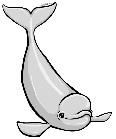 Eps Beluga Whale Clipart Png Dxf Beluga Whale 2 Svg Whale Cut Files