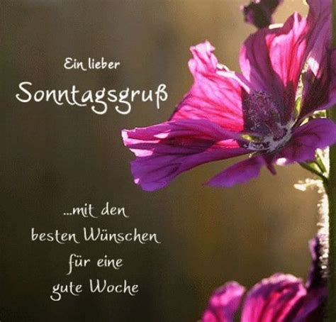 Der sonntag ist ein schöner tag! Sonntagsgruß | Schönen sonntag sprüche, Sonntagsgrüße und ...