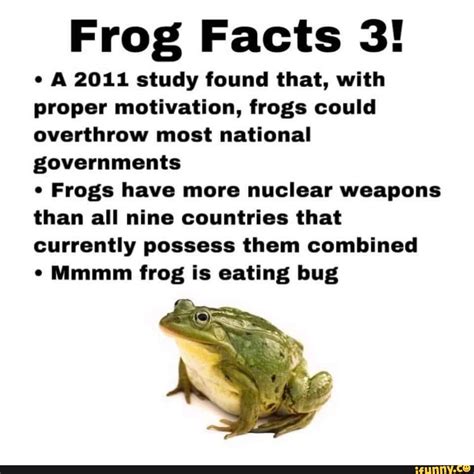 Frog Facts 3 A 2011 Study Found That With Proper Motivation Frogs