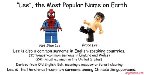 In fact, one of the main sources for first names is the. "Lee", Probably the most popular surname in the world