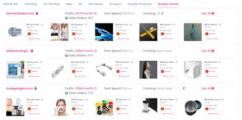 23 Most Successful Shopify Dropshipping Store Examples Inspiration